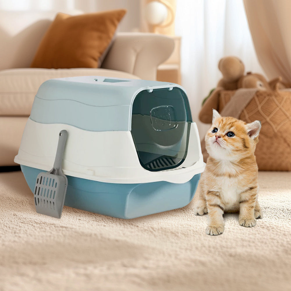 Large Detachable Cat Litter Box Blue