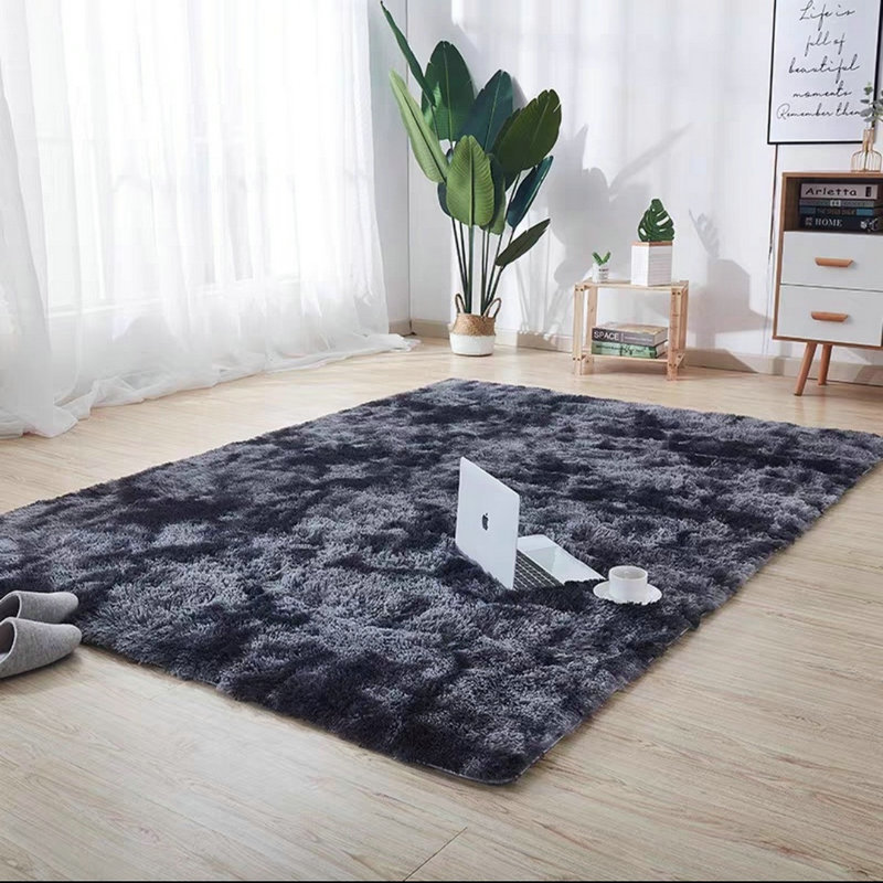 Area Rug Indoor Ultra Soft Plush Rugs