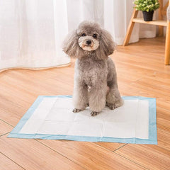 Training Pads for Dogs and Puppies 1pc, Disposable Urine Pads, Super Absorbent and Leak-Proof, Quick Dry, Suitable for Dogs, Cats and Rabbits