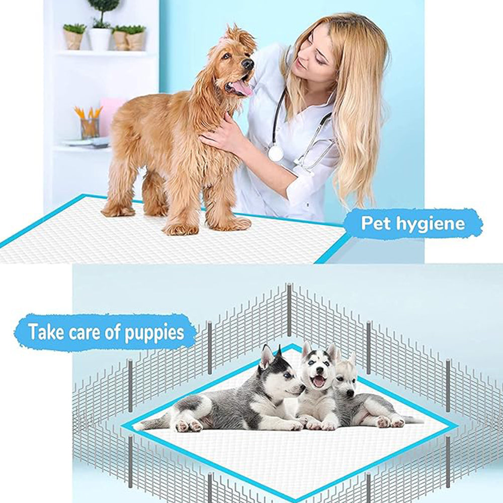 Training Pads for Dogs and Puppies 1pc, Disposable Urine Pads, Super Absorbent and Leak-Proof, Quick Dry, Suitable for Dogs, Cats and Rabbits